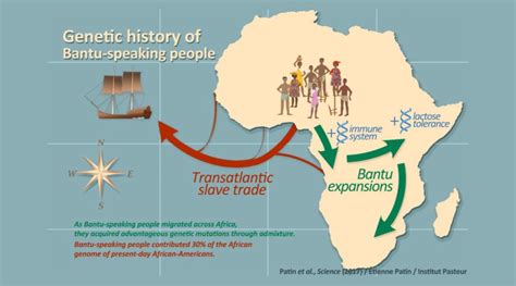  The Great Fish Migration of 483: A Turning Point in Bantu Cuisine and Early Trade Practices